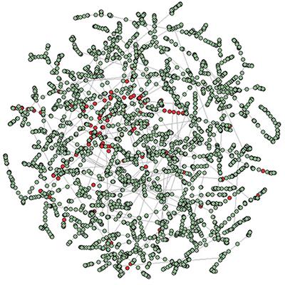 Network Based Scoring Models to Improve Credit Risk Management in Peer to Peer Lending Platforms